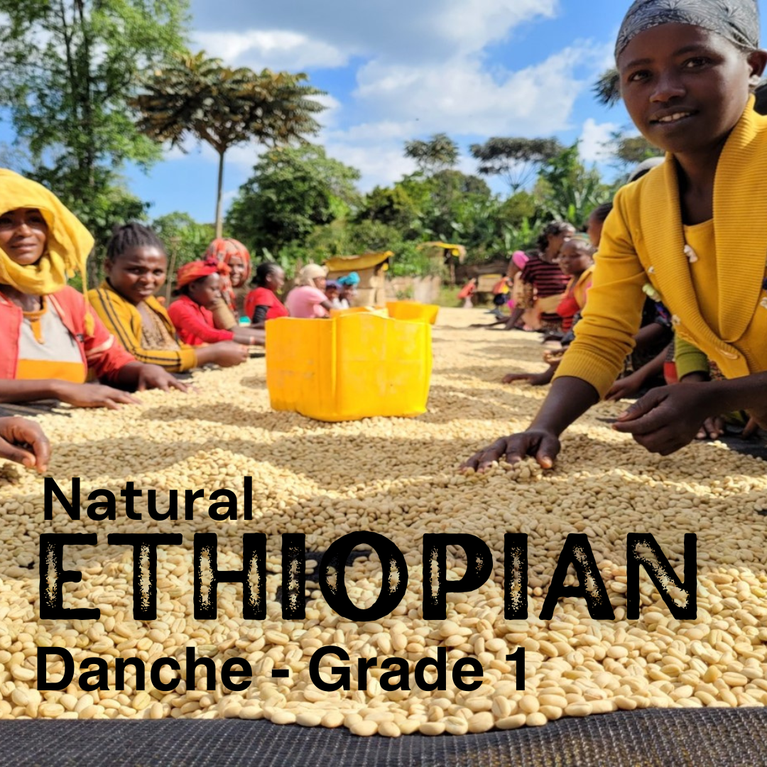 Ethiopia Danche Wet Mill [Natural]