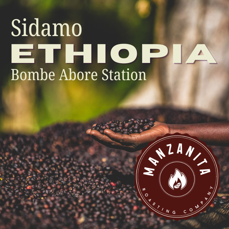 Ethiopia Bombe [Washed]