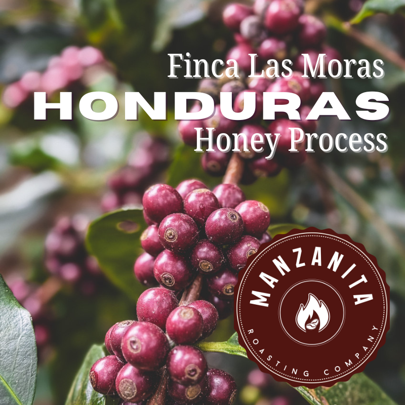 Honduras Honey Process